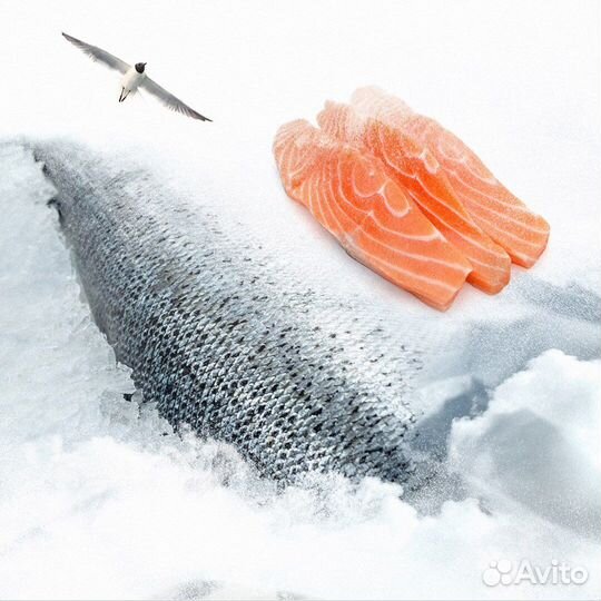 Семга океаническая