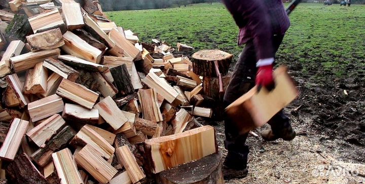Дрова в день заказа