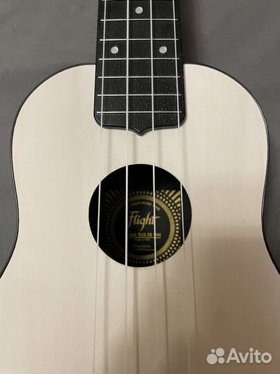 Укулеле flight