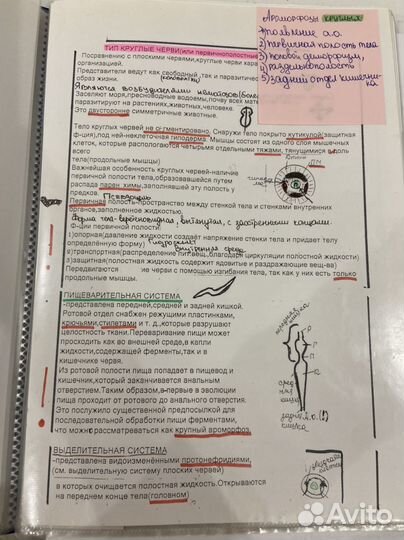 Биология (зоология) подготовка к егэ