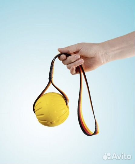 Мячик для собак