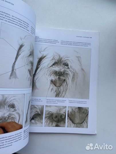 Книга животные рисование