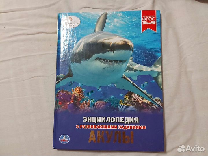 Книга про акул