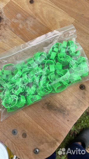 Меточные кольца для кур