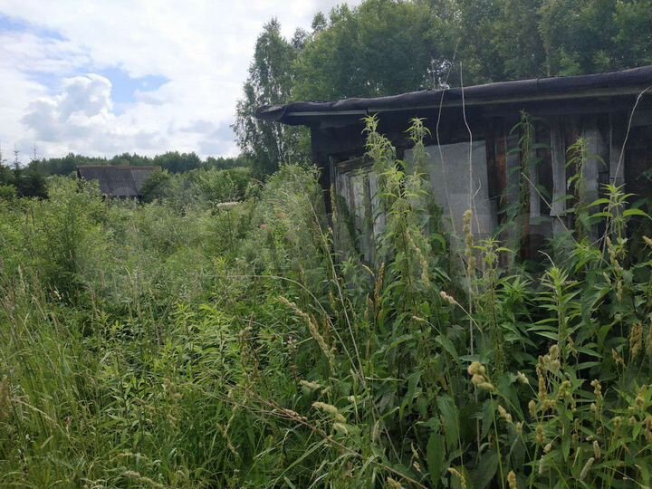 Участок 10 сот. (СНТ, ДНП)