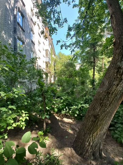 2-к. квартира, 44 м², 1/5 эт.