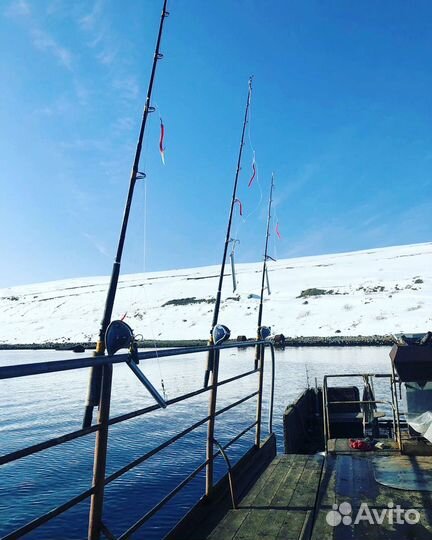 Морская рыбалка, прогулки, банька на борту