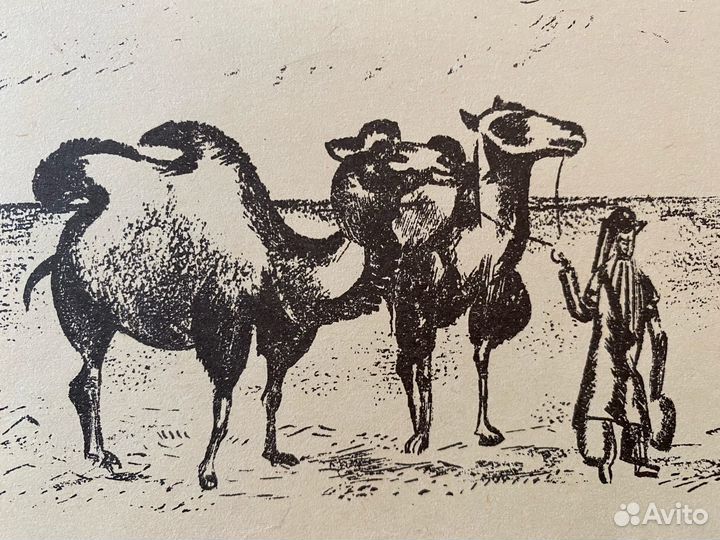 Кузнецов П.В.(1878-1968)