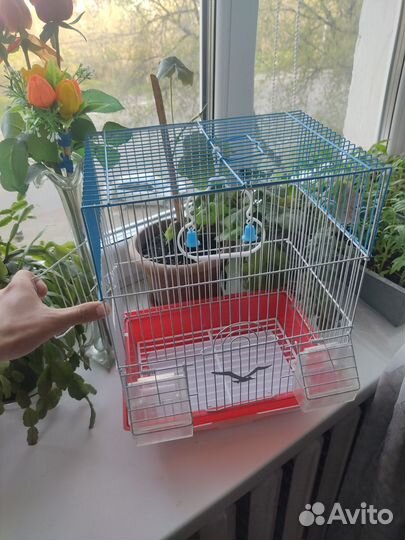 Клетка для попугая большая