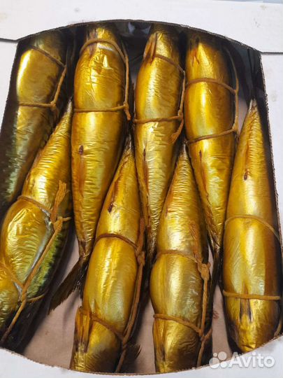 Рыба копченая карелия