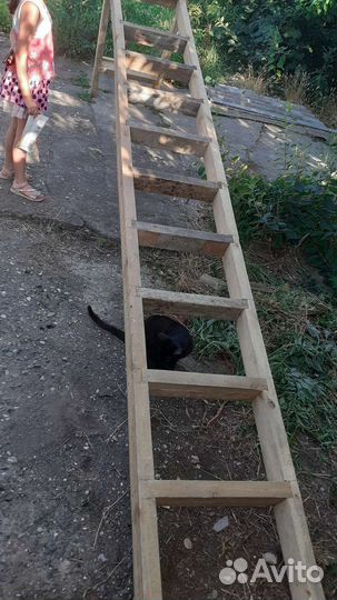 Лестница из дерева