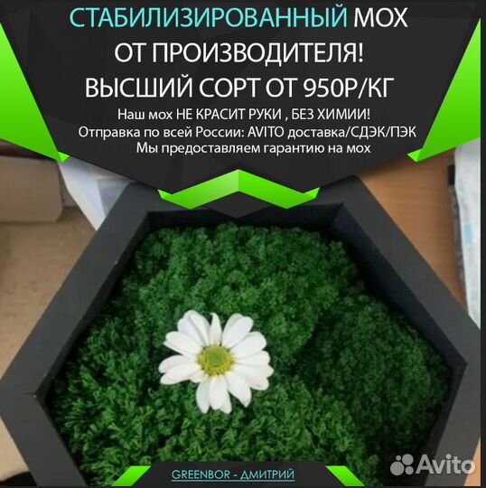 Насыщенный стабилизированный мох от производителя