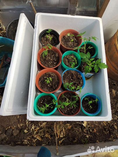 Ящик каробка изотермический