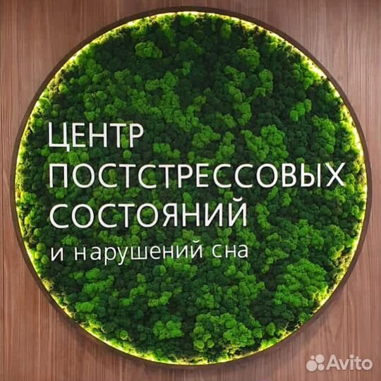 Фитопанно микс мхов + растения