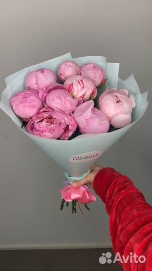 Цветы пионы