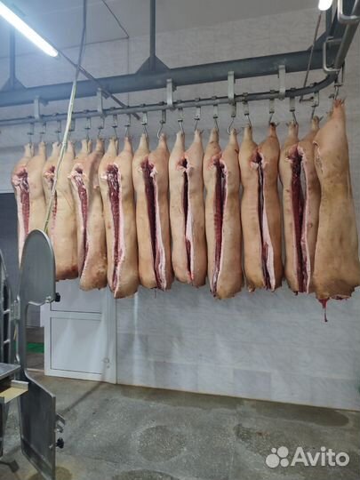 Мясо, живок, свинина