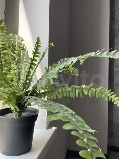 Свободного назначения, 16.5 м²