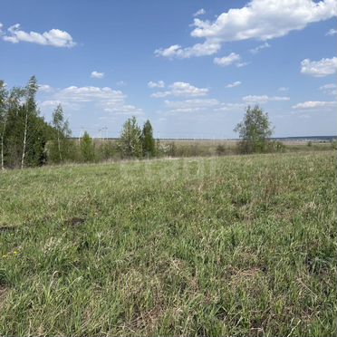 Участок 6,68 га (личное подсобное хозяйство (лпх))