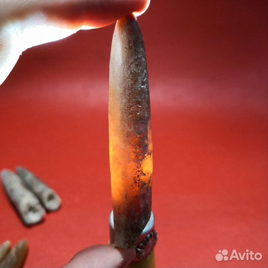 Окаменелости. Белемниты. с.Поддубное