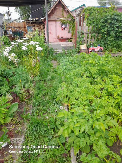 Дача 20 м² на участке 5,8 сот.