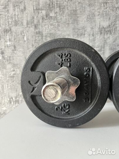 Гантели разборные