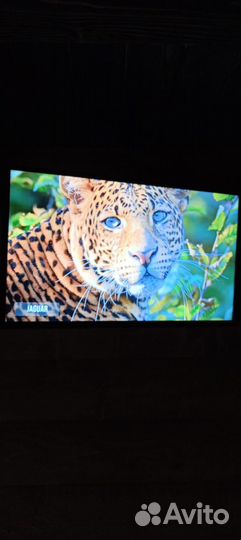 Телевизор Haier LE32K6500SA