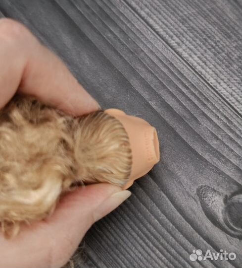 Голова Barbie Милли BMR