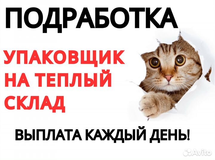 Упаковщик Ежедневная оплата Подработка оз0401