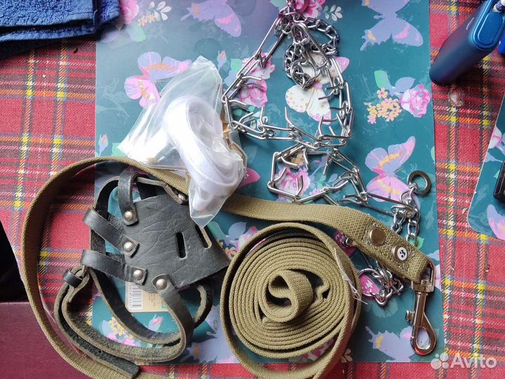 Строгий ошейник для собак