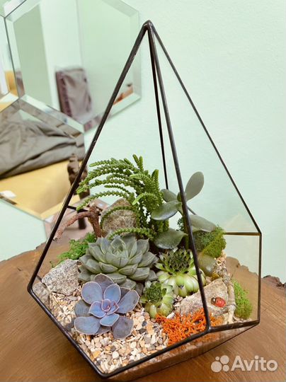 Флорариумы часть 1