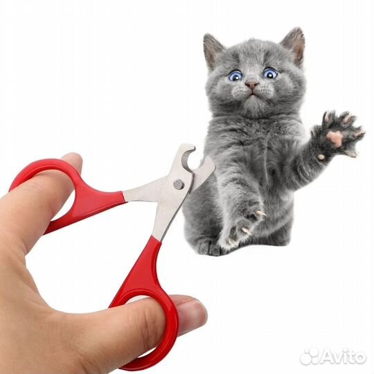 Ножницы для ногтей собак, кошек