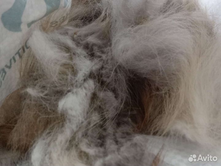 Шерсть собачья для прядения и вязания