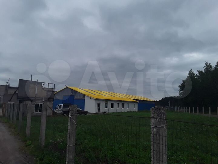 Помещение свободного назначения, 700 м²