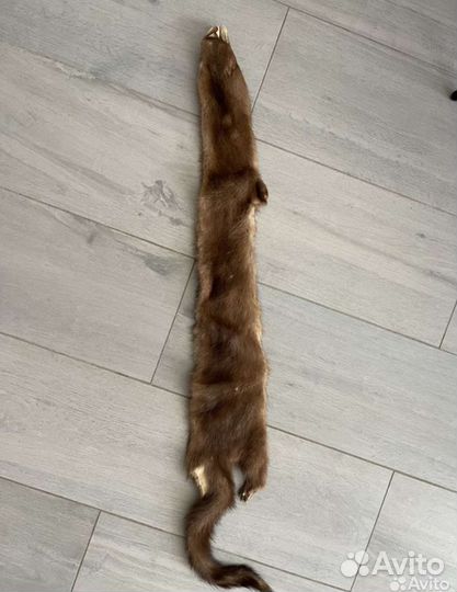 Шкуры норки