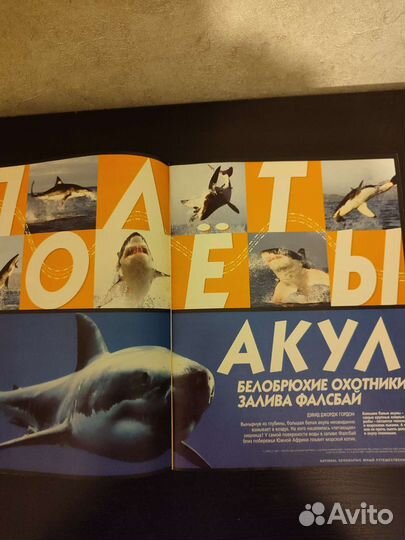 National geographic юный путешественник 2004