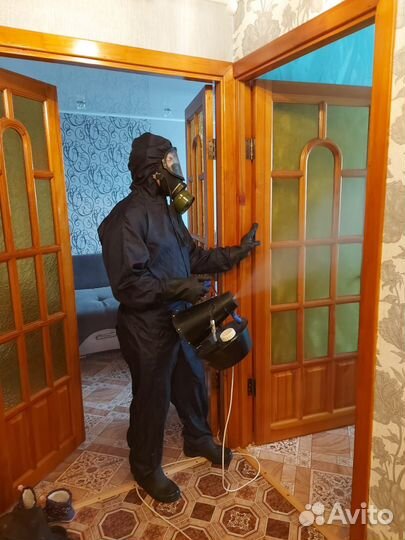 Уничтожение навсегда клопов, тараканов, крыс