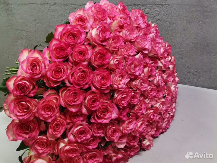 101 роза букет цветов цветы опт 15 21 25 31 45 51