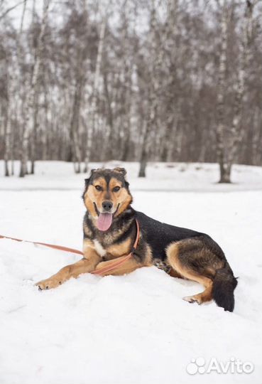 Лия хочет быть любимой