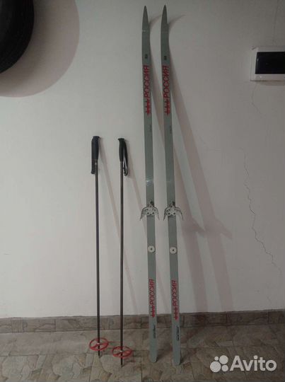 Беговые лыжи