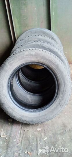 Viatti Brina 195/65 R15 N