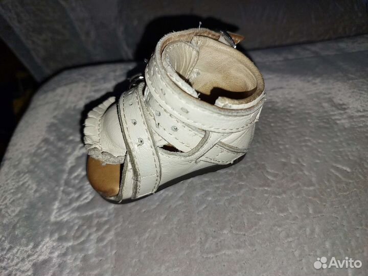 Брейсы медвежонок