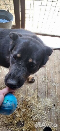 Спасите Ксану из приюта