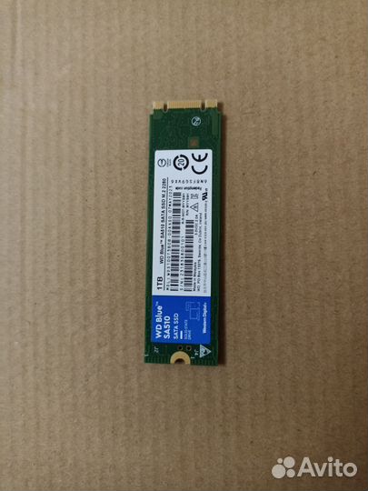 Ssd SATA m2 wd blue sa510 1tb