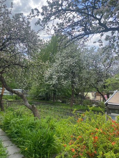 Участок 5,6 сот. (СНТ, ДНП)