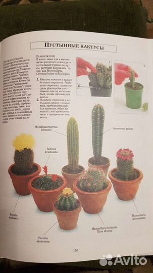 Книги по комнатному цветоводству