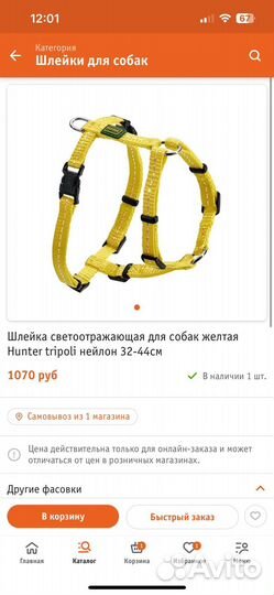 Шлейка для собаки