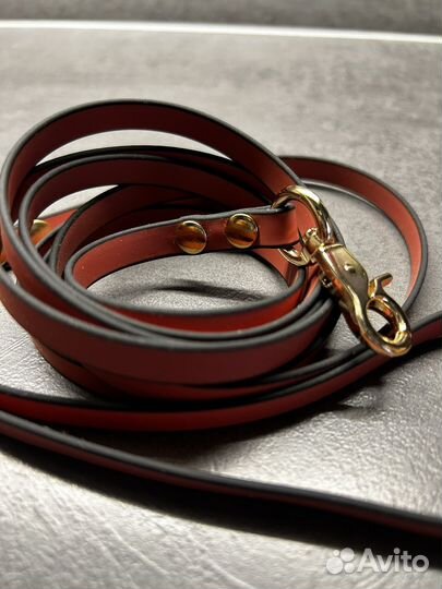 Биотановый поводок 3 м + ошейник