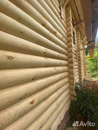 Оцилиндрованное бревно Сосна ель Под заказ
