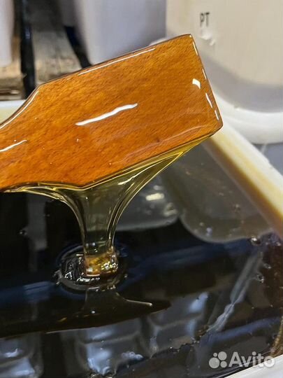 Оптом мед разнотравье темное свежий сбор