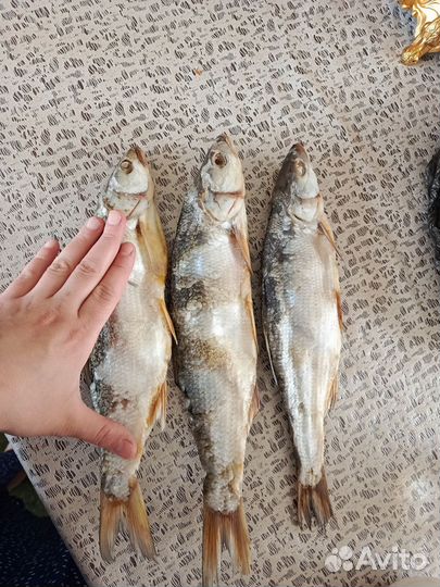 Вяленая рыба